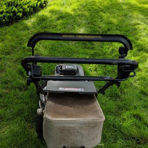 00100dPORTRAIT 00100 BURST20190623174427570 COVER