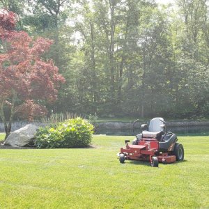 mow