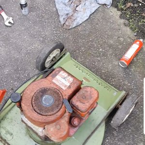 Old Hayter push lawn mower