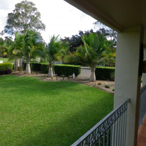 mazza garden 2 (2)