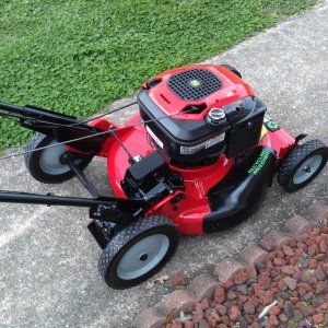 snapper12