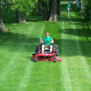 Grant MN Lawn Care