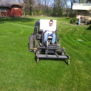 Dethatching