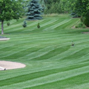 Lawn Mowing Lake Elmo MN