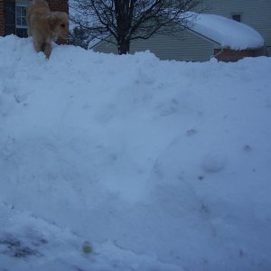 Super Deep Snow 3: Feb. 2010