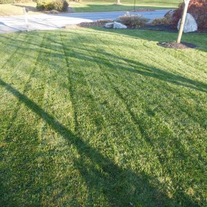 Great Final Cut on a Lawn