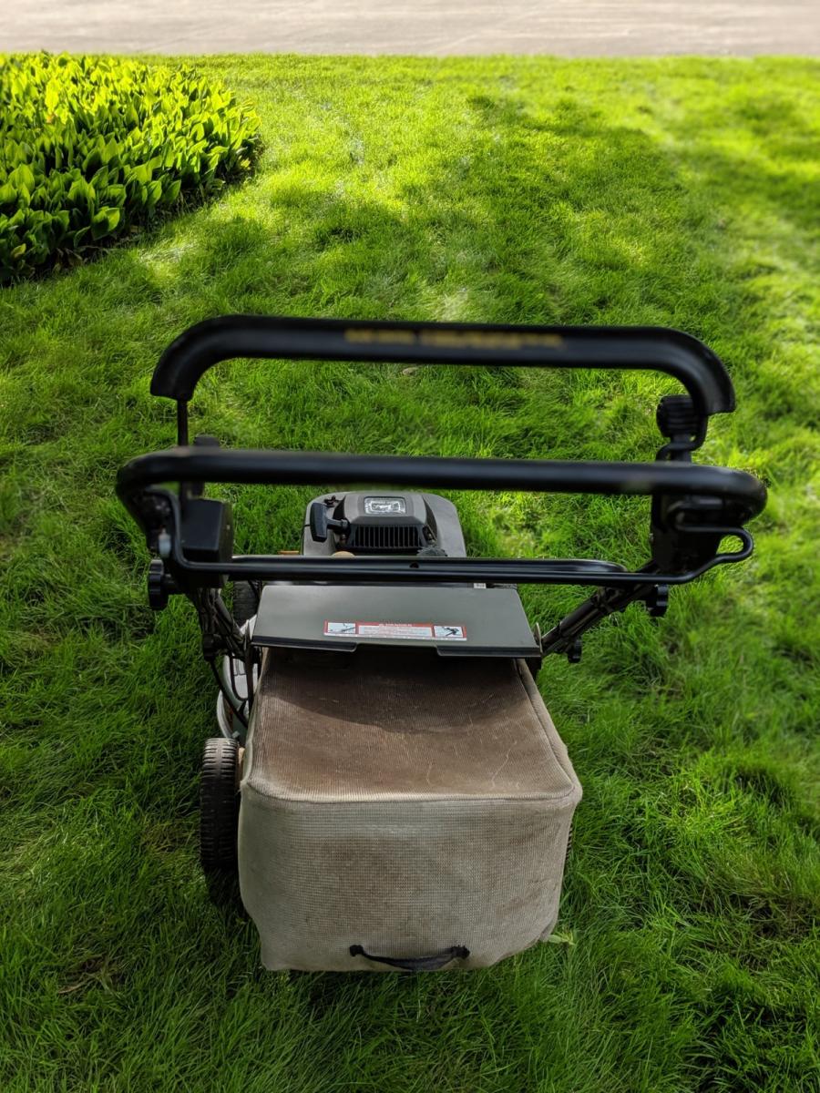 00100dPORTRAIT 00100 BURST20190623174427570 COVER