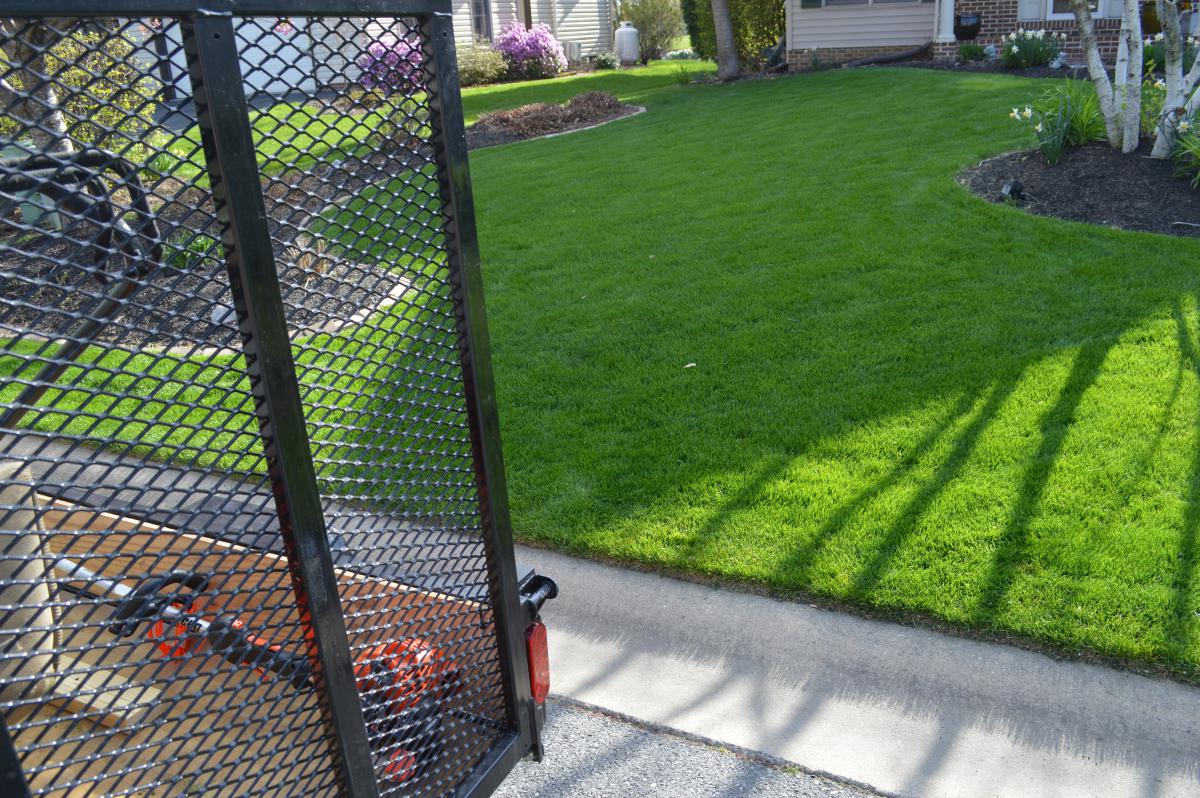 2015 Lawn 4