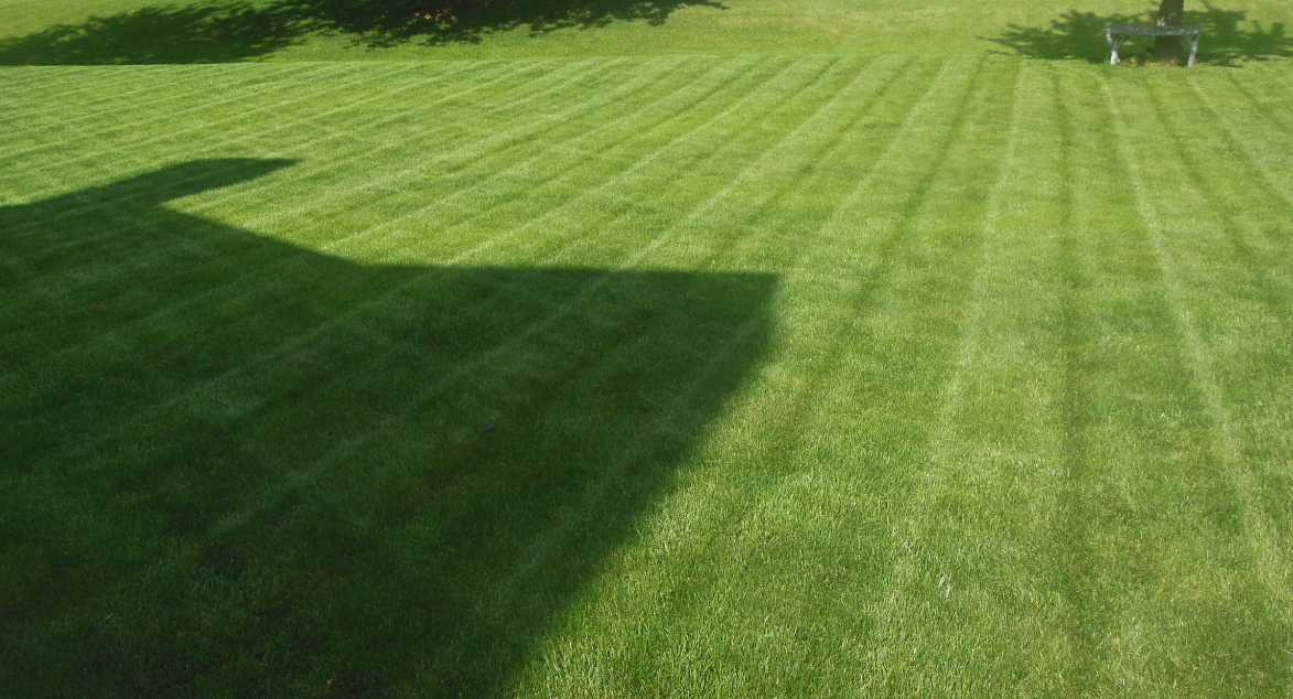 2015 Lawn 6