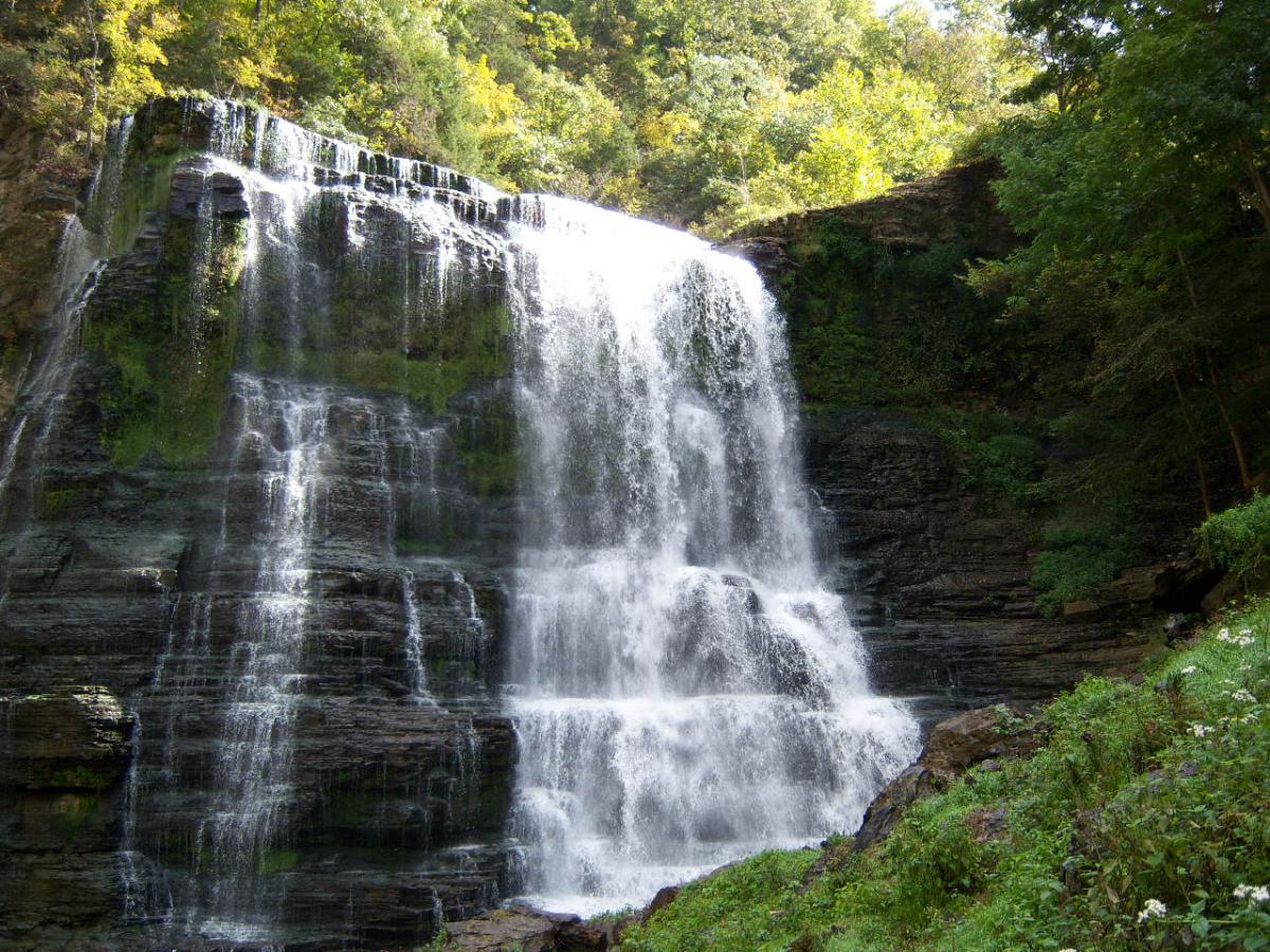 Burgess Falls.