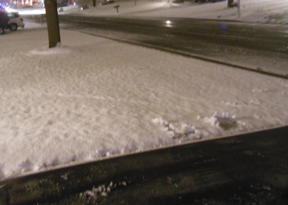 Christmas Eve Snowfall!