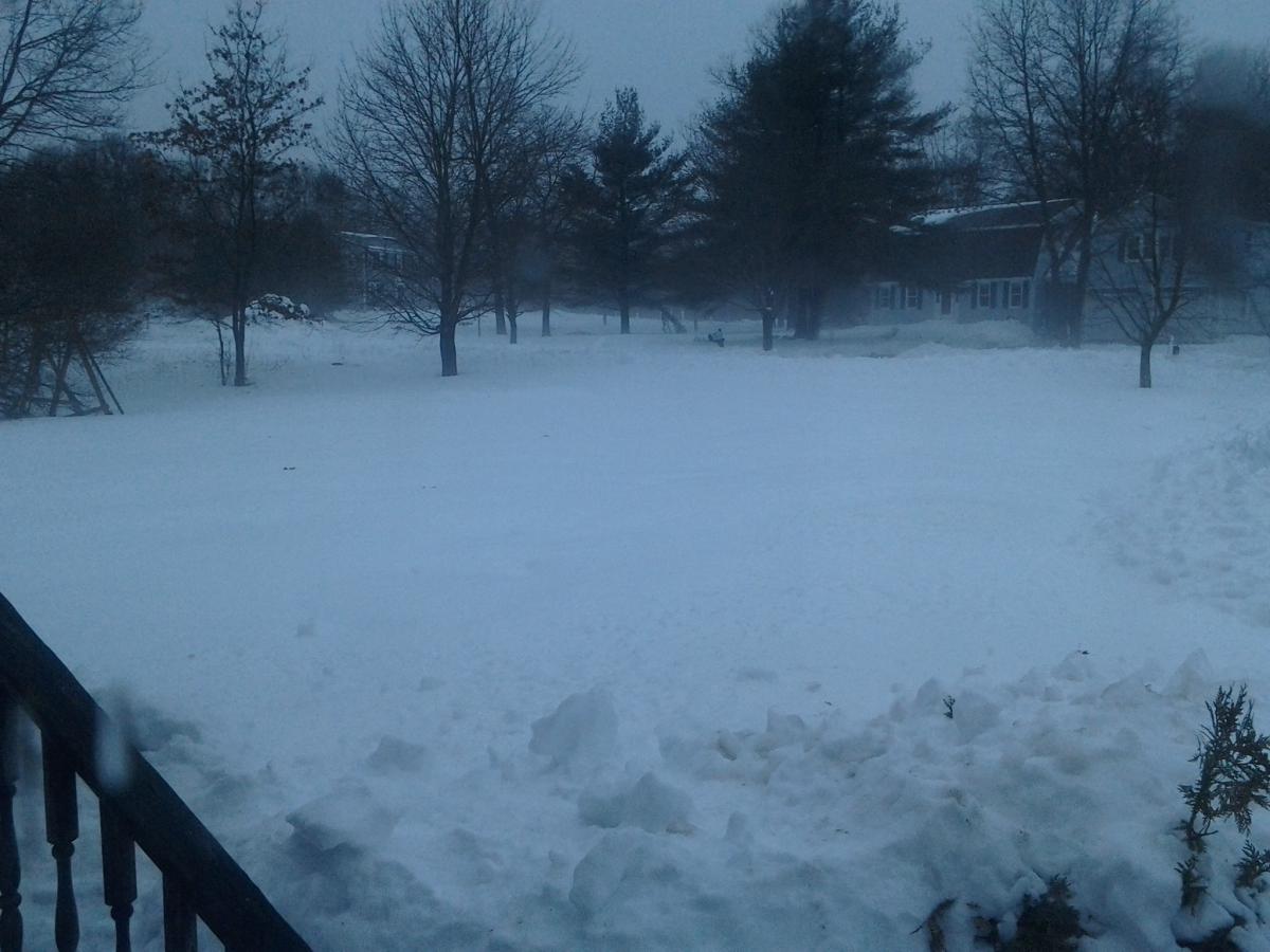 Front yard