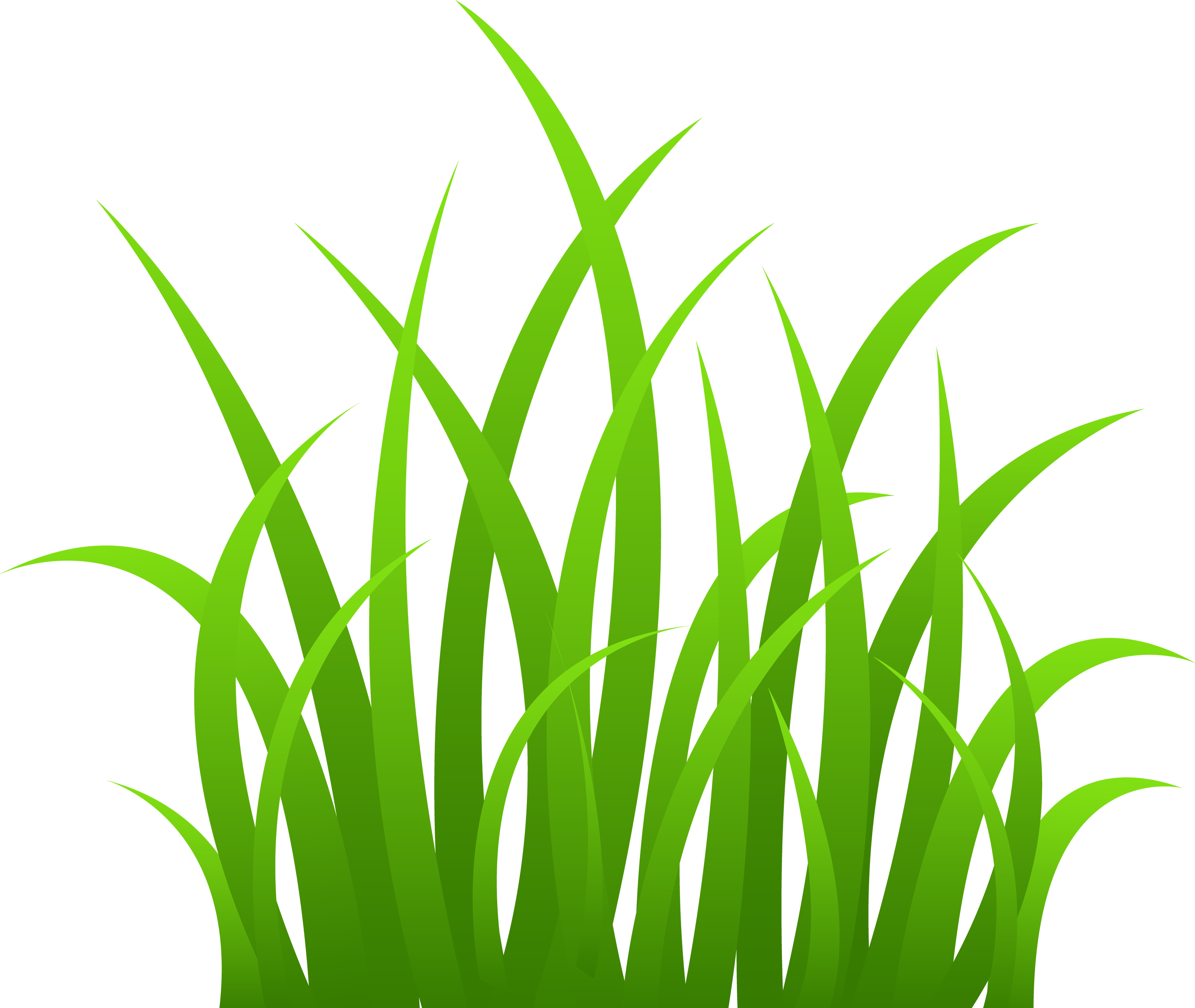 GRASS
