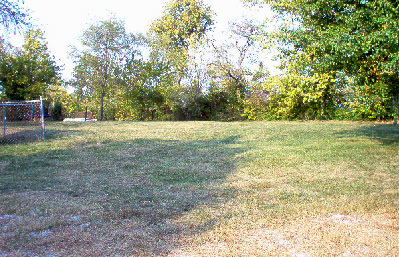 KY backyard