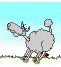 lambborder1