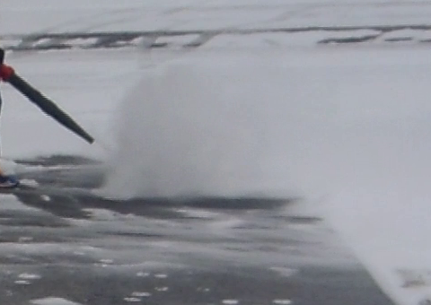 Leaf Blowing Snow 3