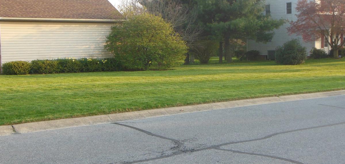 Nice lawn and edging