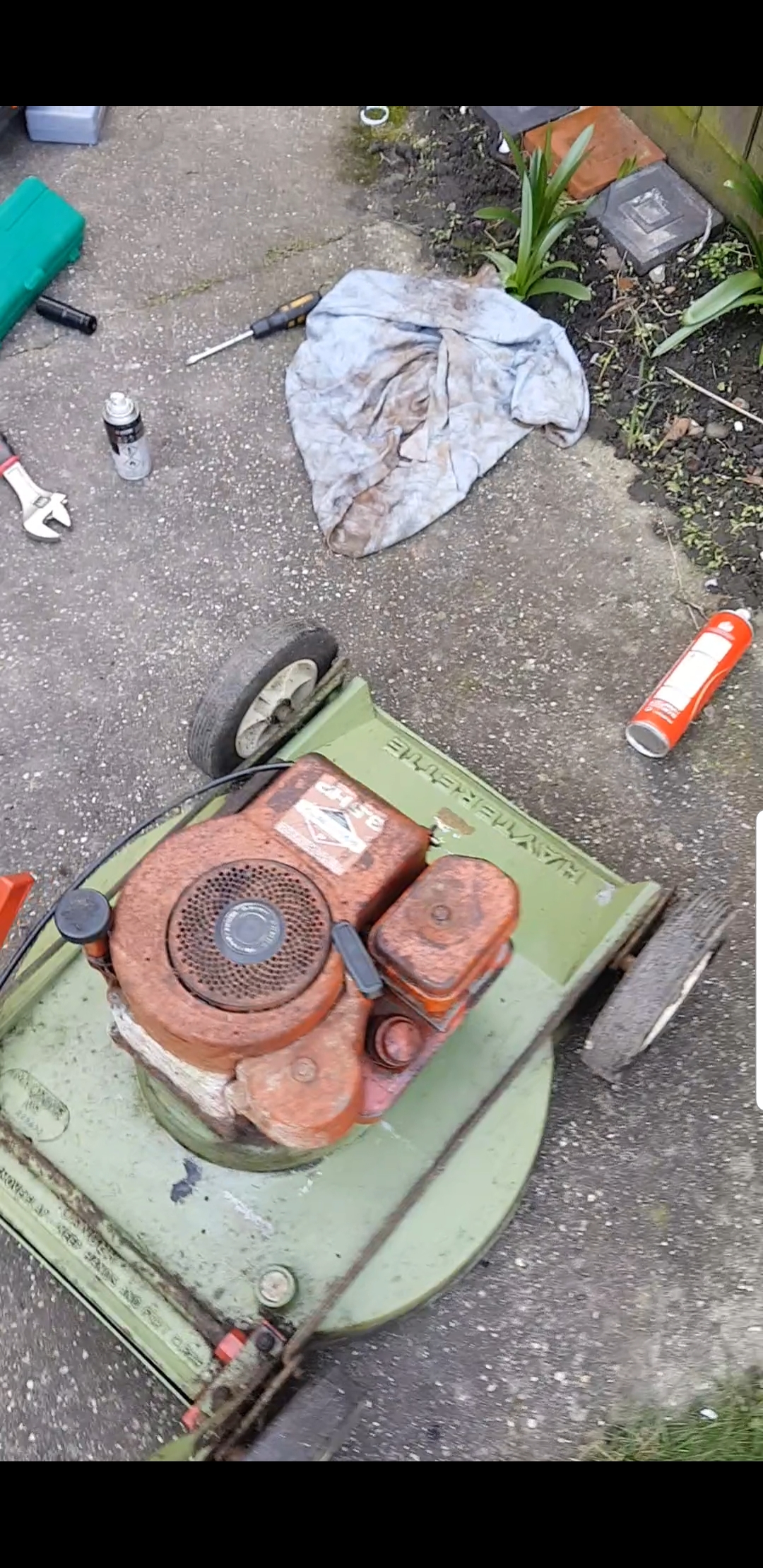 Old Hayter push lawn mower