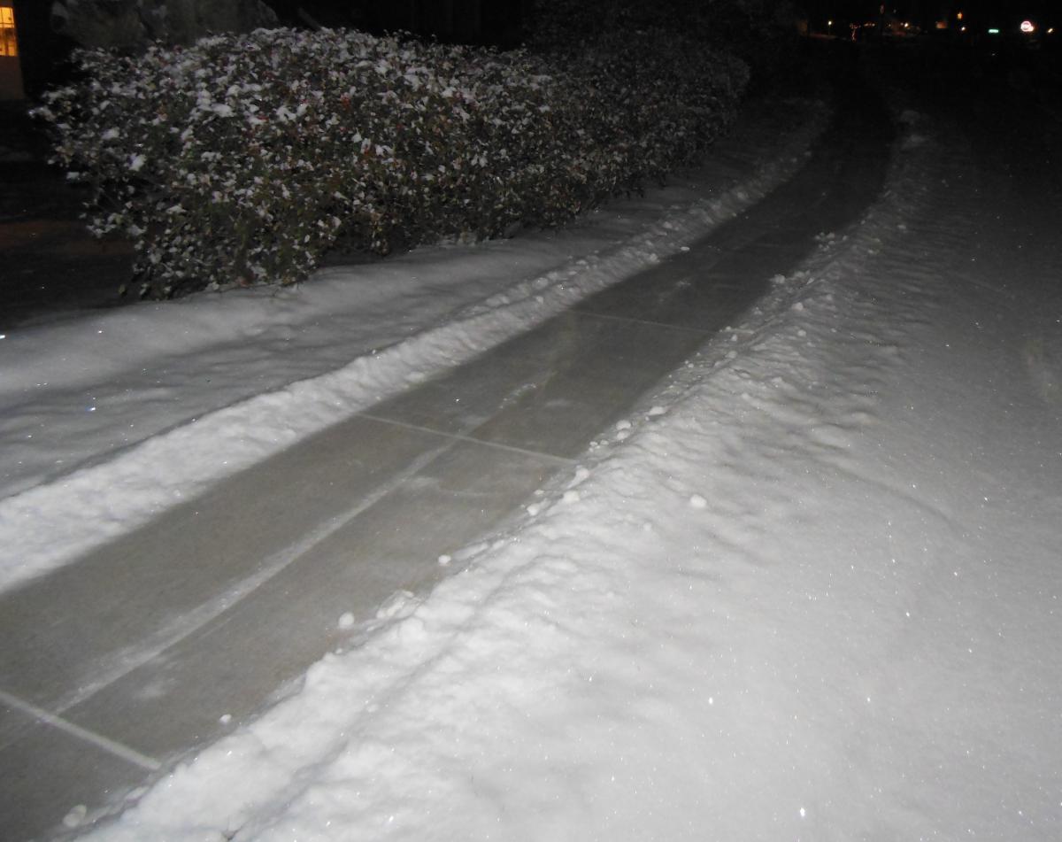 Shoveled Sidewalk