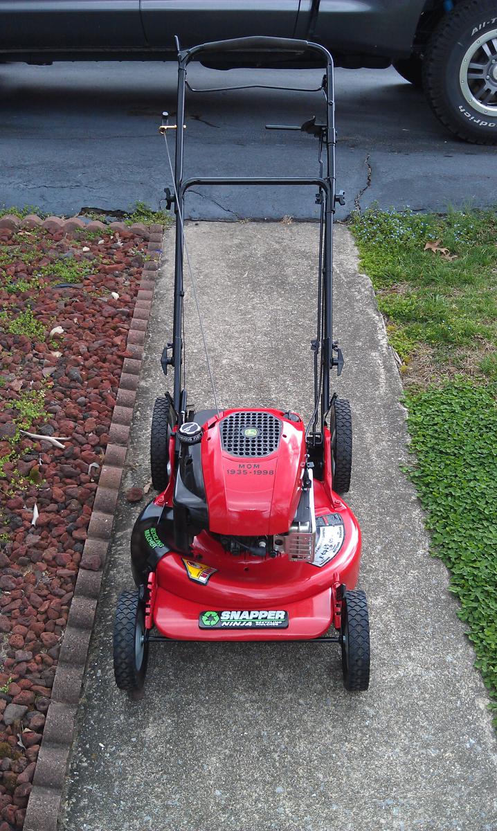 snapper10