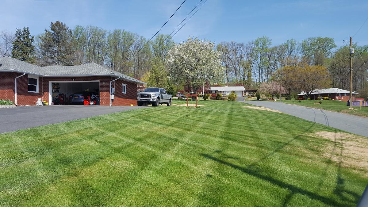 Starting the first set of stripes. Not bad without a roller/stripe kit