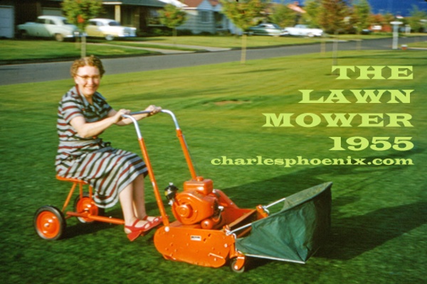 the lawnmower