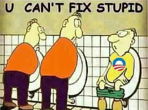 U Cant Fix Stupid[1]