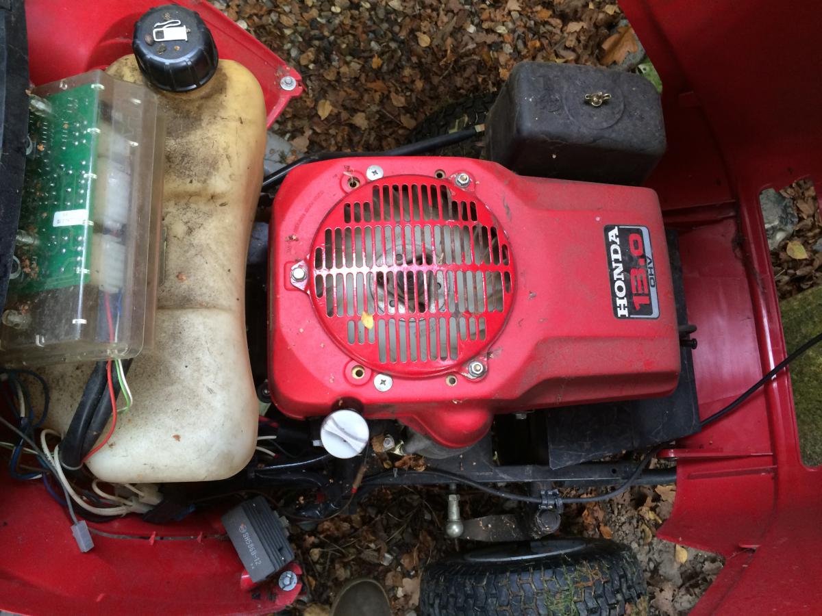 Various photos to allow me to google information when home: