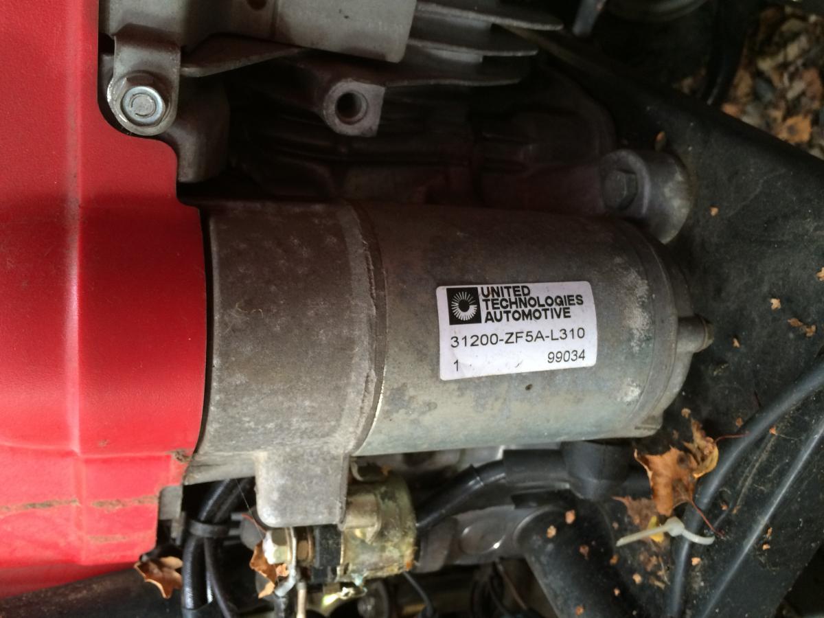 Various photos to allow me to google information when home: